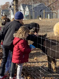 Rainbow Magic Alpaca Farm