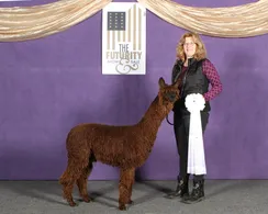 Big Timber Alpacas, LLC