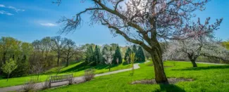 Minnesota Landscape Arboretum