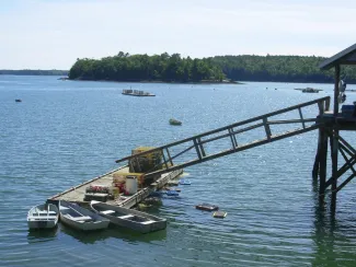 Damariscotta River Oysters