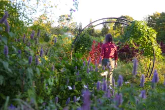 Leafsong Family Farm