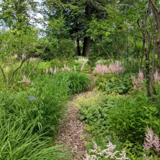 McLaughlin Garden and Homestead