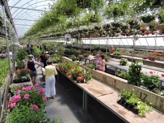 Starview Greenhouses