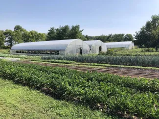 Berry Hill Farm