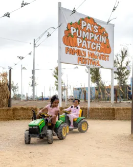 Pa's Pumpkin Patch