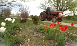 Meadowlark Farm