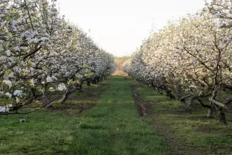 Pome on the Range Orchards & Winery