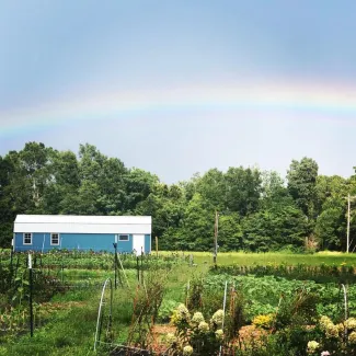 Blossom Lane Farm