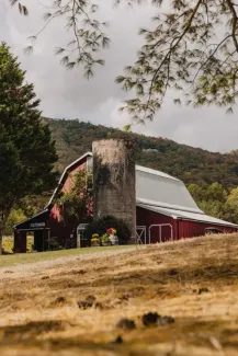 Tiger Mountain Vineyards