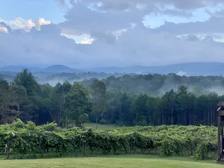 Ott Farms and Vineyard