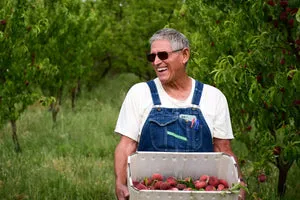 Frog Hollow Farm