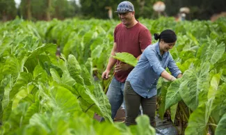 Kahuku Farms