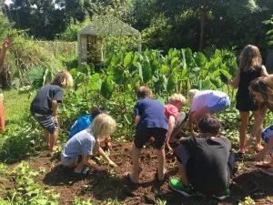 Malama Kauai Community Farm