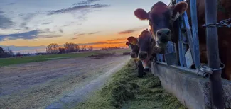 Ballard Family Dairy & Cheese