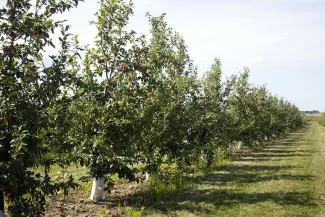 Keller's Farmstand