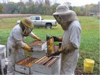 Hunter's Honey Farm