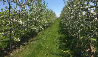 Orchard Landing & Galena Cider Co.