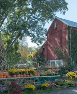 Highland Orchards Farm Market