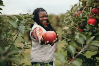 Holmberg Orchards & Winery