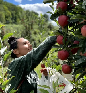 Rogers Orchards