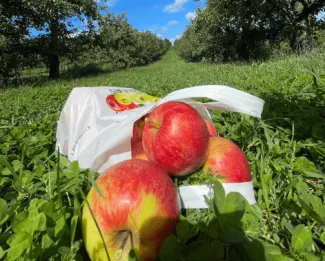 Lyman Orchards