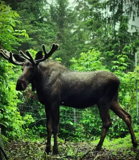 Kroschel Wildlife Center