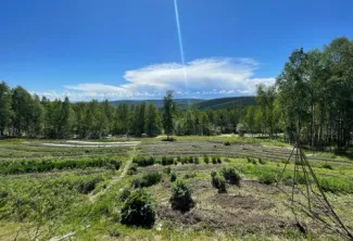 Calypso Farm & Ecology Center