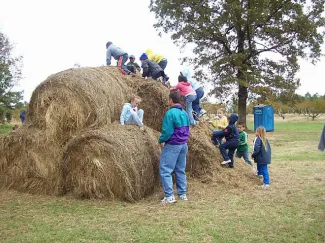 Suzanne's Fruit Farm