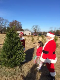 Hilltop Christmas Tree Farm