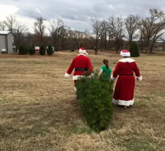 Hilltop Christmas Tree Farm