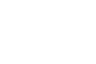 Little Hollow Flowers logo