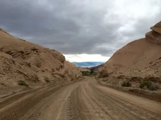 China Date Ranch