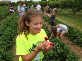 LouAllen Farms