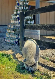 Broken Spoke Vineyard & Winery