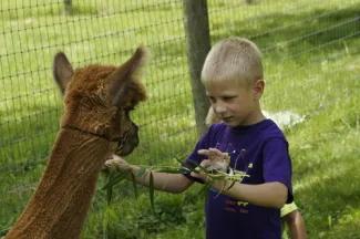 Happy Tails Alpacas