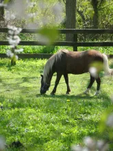 Fairwinds Farm & Stables