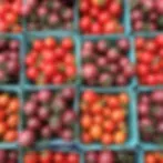 Gresham Farmers Market