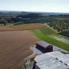 Baugher's Orchard