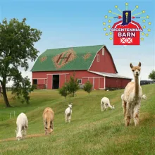 Heritage Farm Alpacas & Events, LLC
