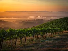 Russian River Vineyards/Corks Restaurant