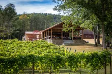 Bear Claw Vineyards