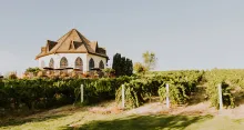 Ste. Chapelle Winery